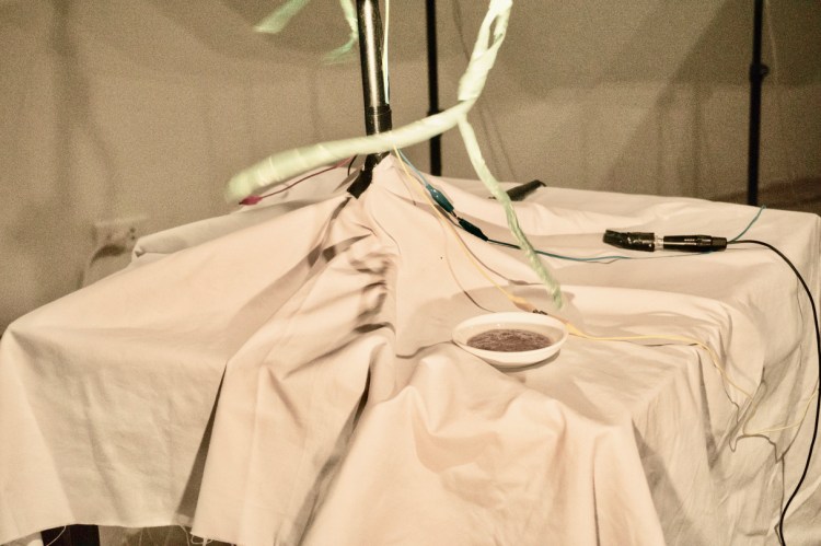 Sonate Mắm tôm_cận cảnh_Credit Nguyễn Đức Tùng (1)